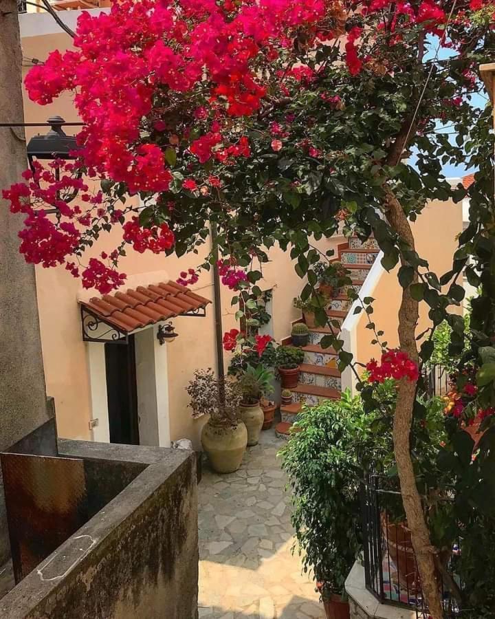 Villa Luna Sul Mare Calabria San Nicola Arcella Exteriör bild